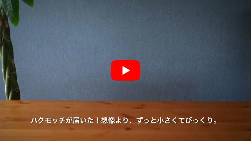 ハグモッチプレミアム – NELUKA 熟睡専門店 ハグモッチプレミアム – NELUKA 熟睡専門店